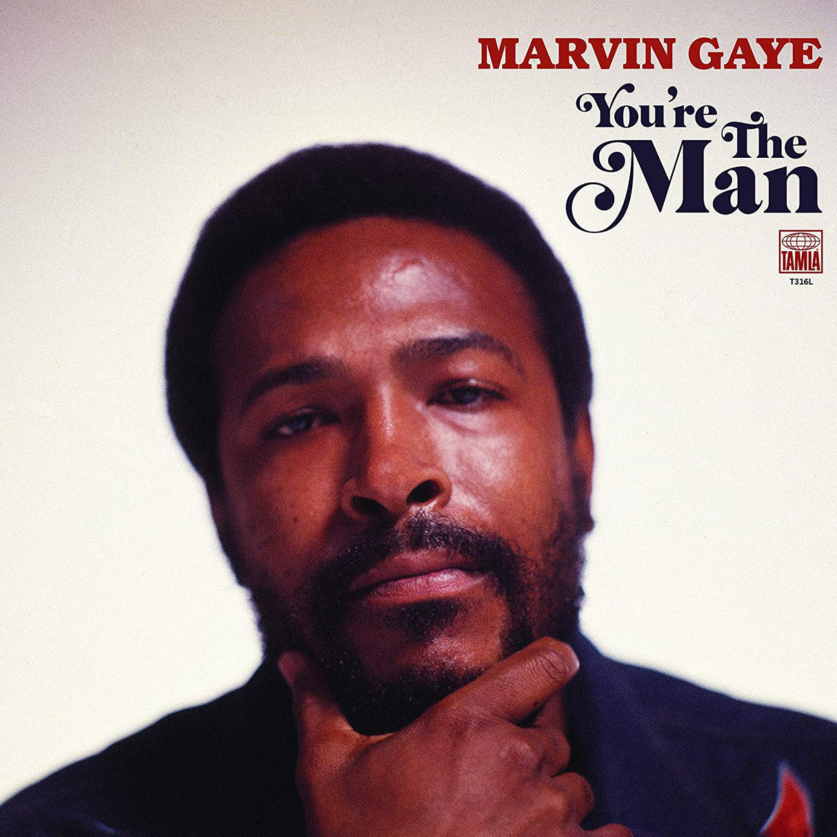 Marvin Gaye You're The Man Vinyl - Paladin Vinyl