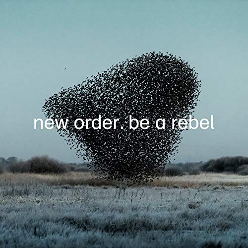 New Order Be a Rebel Vinyl - Paladin Vinyl