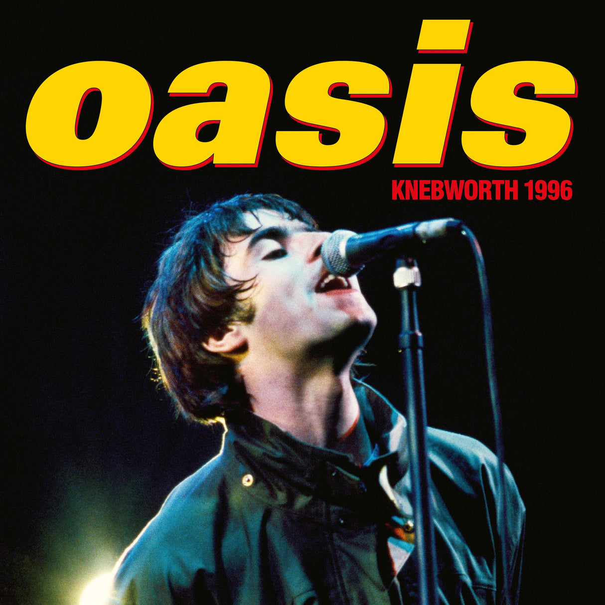 Oasis Knebworth 1996 (3 LP) Vinyl - Paladin Vinyl