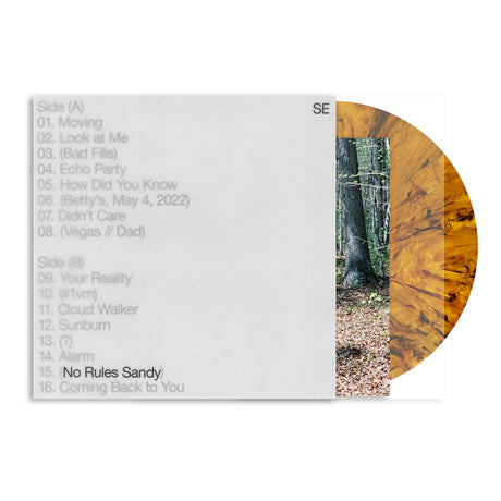 Sylvan Esso No Rules Sandy [Tiger's Eye LP] Vinyl - Paladin Vinyl