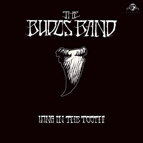 The Budos Band Long In The Tooth (Digital Download Card) Vinyl - Paladin Vinyl