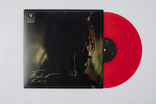 Thundercat It Is What It Is (Colored Vinyl, Red, 140 Gram Vinyl, Photos) Vinyl - Paladin Vinyl