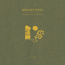 Bright Eyes I'm Wide Awake, It's Morning: A Companion (Gold Vinyl, EP) Vinyl - Paladin Vinyl
