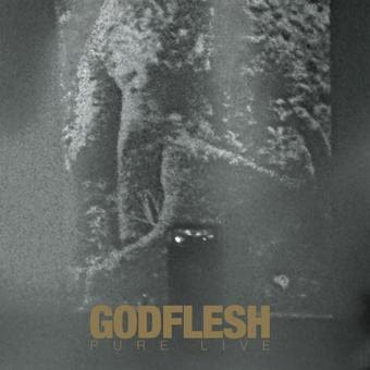 Godflesh Pure Live (2xLP) Vinyl - Paladin Vinyl