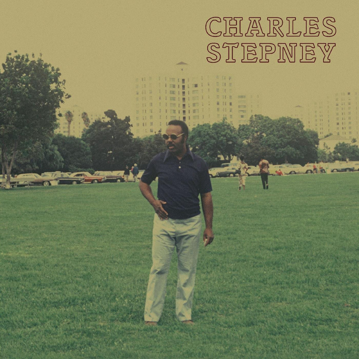 Charles Stepney Step On Step (2LP, Gold, Obi) Vinyl - Paladin Vinyl