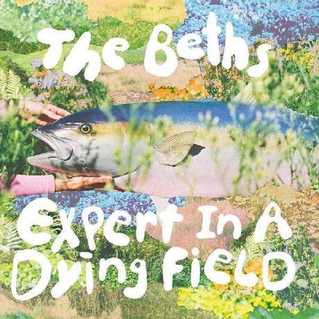 The Beths Expert In A Dying Field CD - Paladin Vinyl