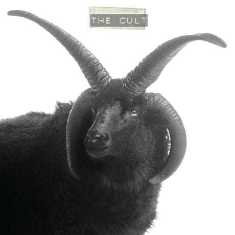 The Cult The Cult (IEX) Vinyl - Paladin Vinyl