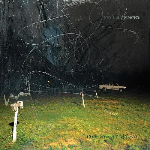 Yo La Tengo This Stupid World (2 Lp's) Vinyl - Paladin Vinyl